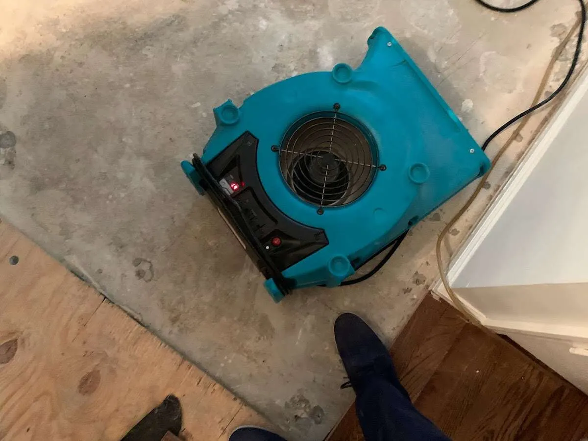 Air mover drying subfloor during Leak Detection & Repair in Maltby